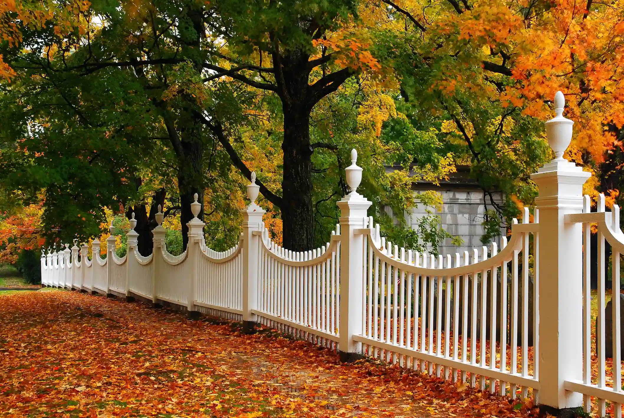 Wood Fence Installation